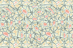 Cell Pattern